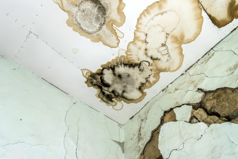 Black water damage repair