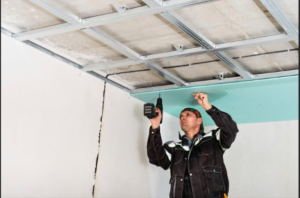 Drywall Mold