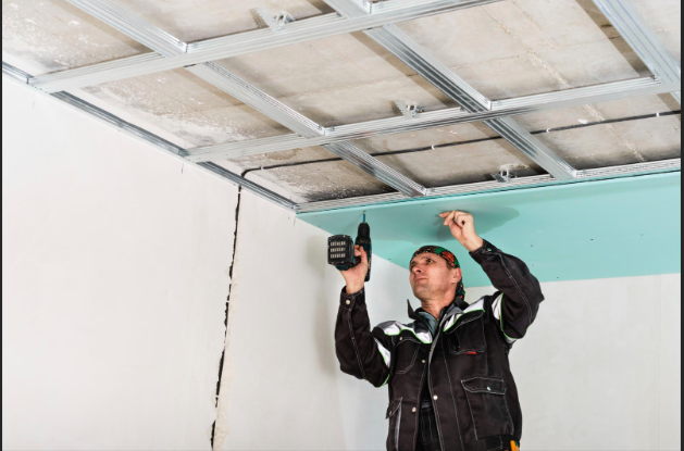Drywall Mold