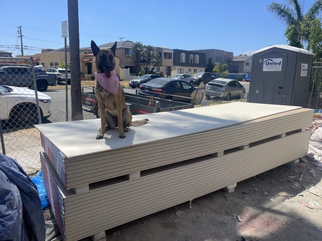 Drywall Contractor San Diego | (619) 806-2169|Trusted Drywall Contractor in San Diego, CA | FREE ESTIMATES